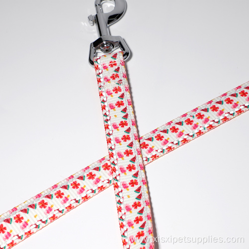 Dog Leash Matching Collar and Harness Heat Transfer